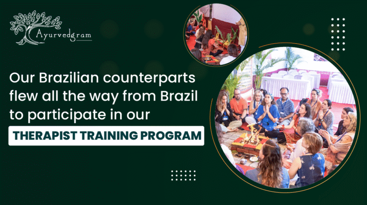 Therapist Training Program